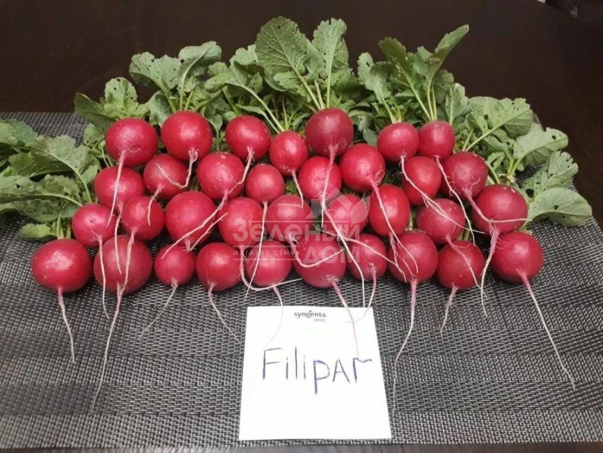 Филипар F1 / Filipar F1 фото 1