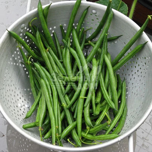 Крокет / Kroket фото 4