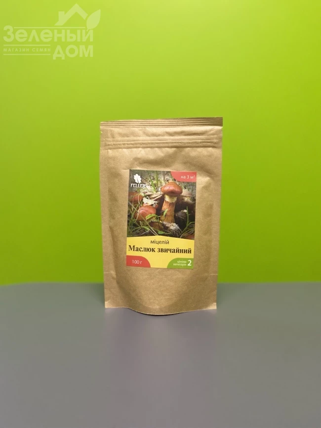 Масленок обыкновенный фото 1