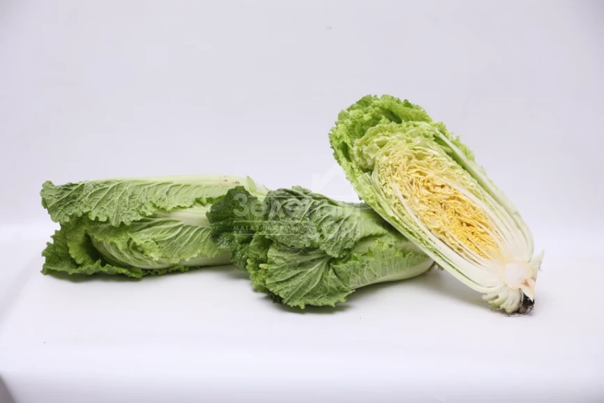 Примадонна F1 / Primadonna F1  фото 1