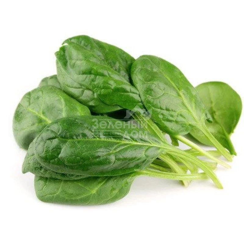 Вип / Vip фото 1