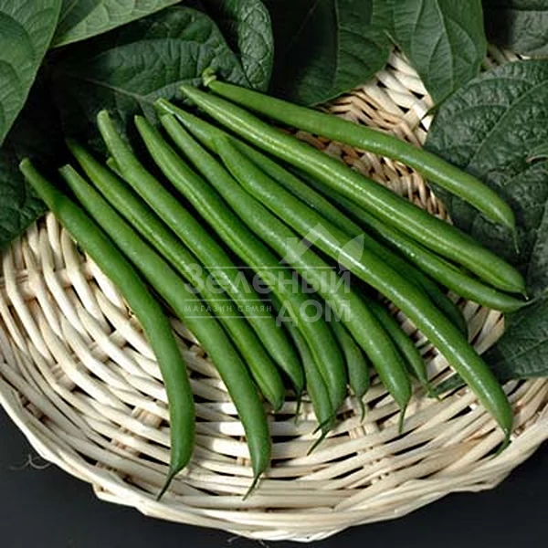 Крокет / Kroket фото 5