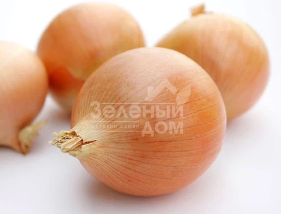 Денсити / Densiti фото 1