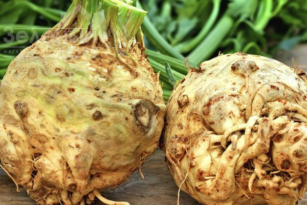 Максім / Maxim,145 днів фото 1