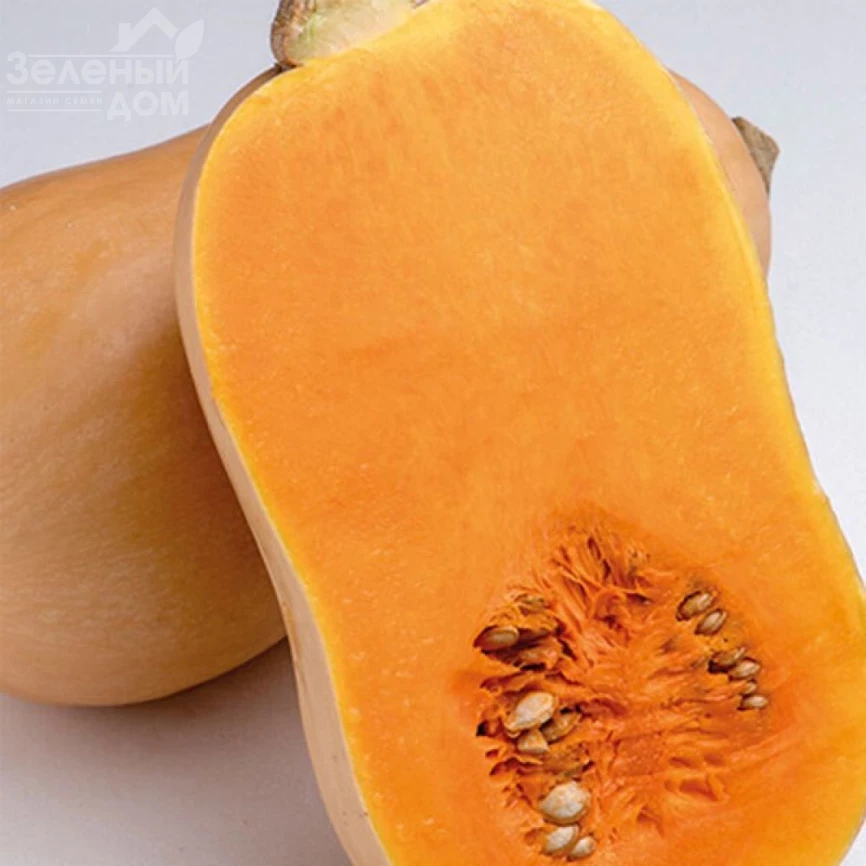 Жаклин F1 / Jacqueline F1 фото 1