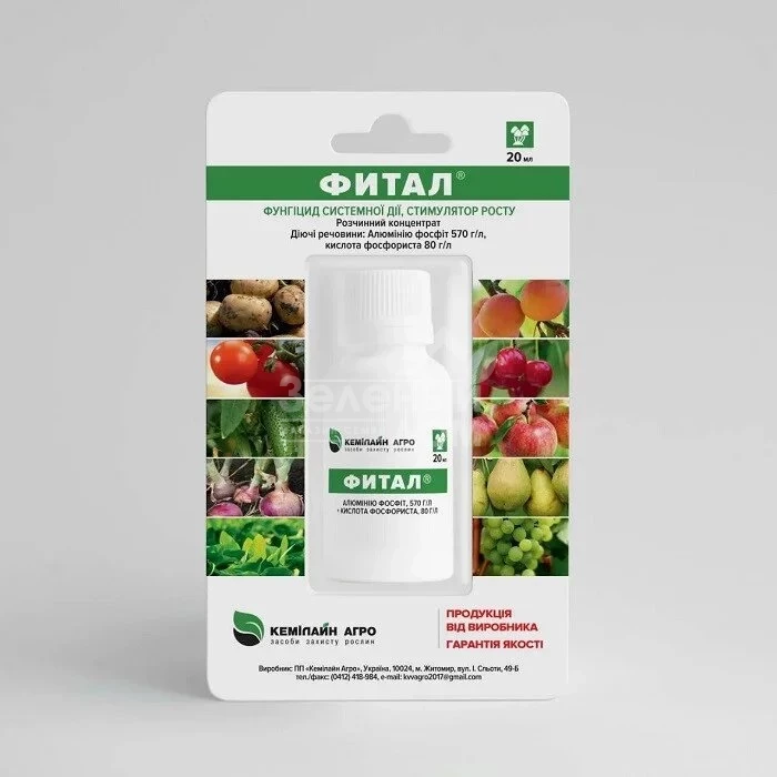 Фитал / Fital, ВК фото 1