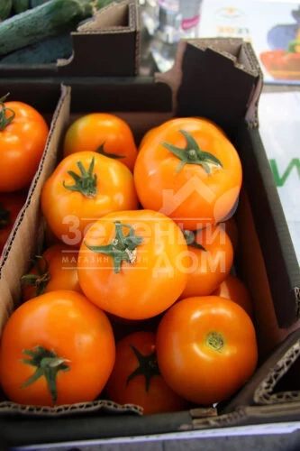 Еллоу Пешен F1 / Yellow Passion F1,100 дней фото 1