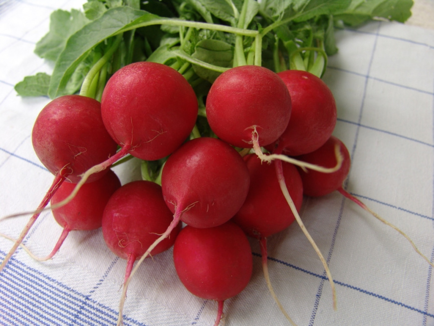 Стела / Stela фото 1