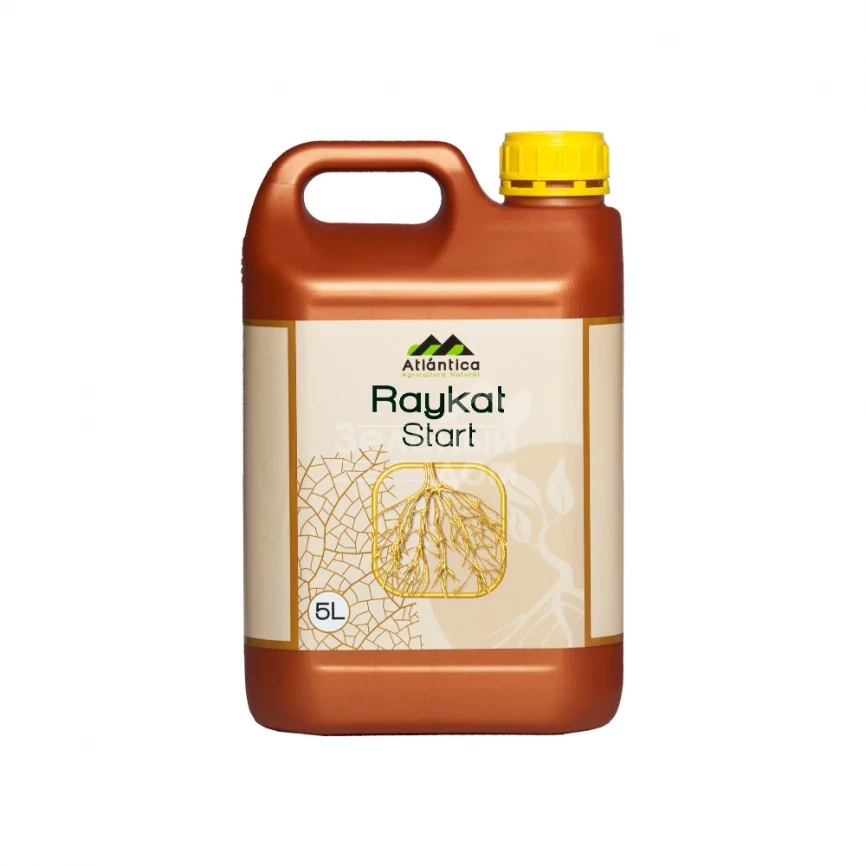 Райкат Старт / Raykat Start фото 1