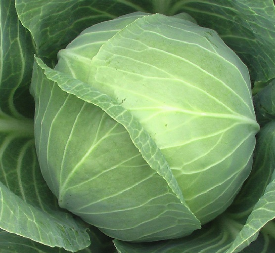 Кам'яна голова / Kamennaya golova фото 1