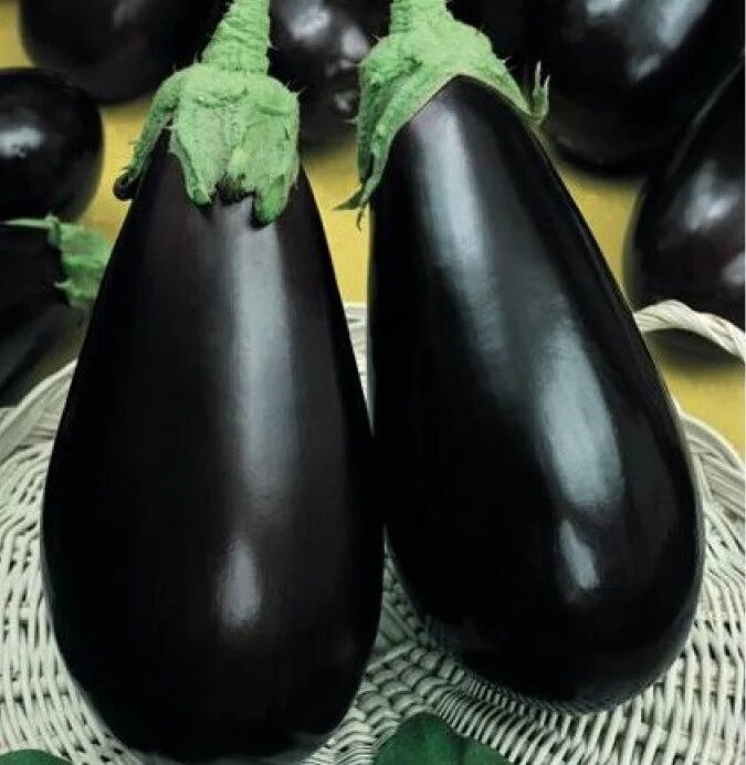 Візир F1 / Vizir F1,70-75 днів фото 2