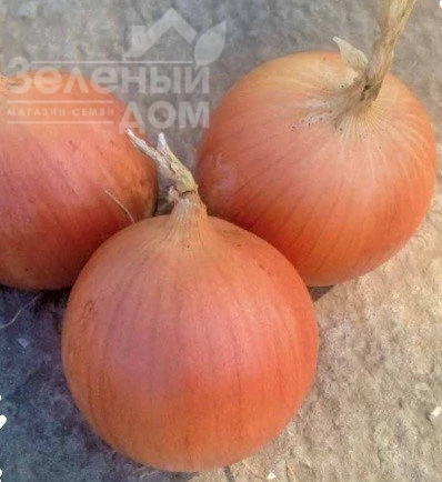 Кейс F1 / Keys F1, 250 дней фото 1