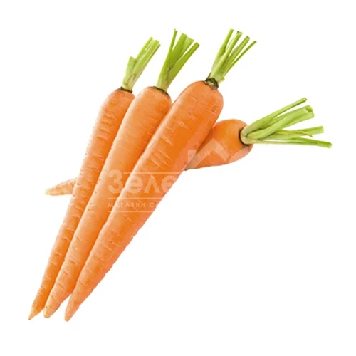 Колосеум F1 / Koloseum F1,120-130 дней фото 1