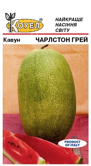 Чарльстон Грей / Charleston grey, 85-90 дней фото 2