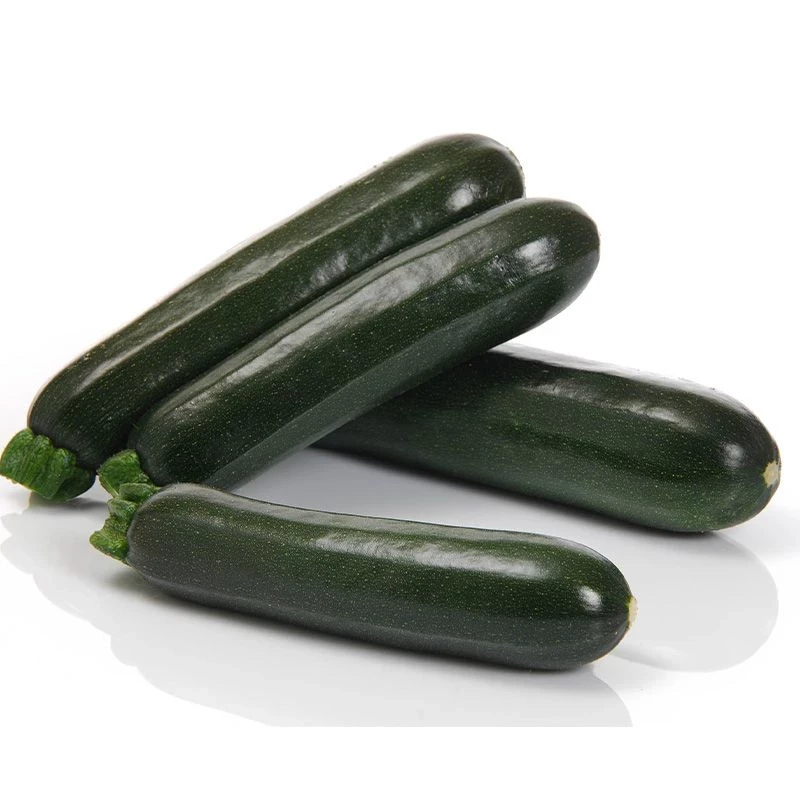 Аскона F1 / Askona F1, 35-40 дней фото 1