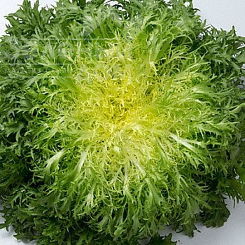 Валоне / Valone фото 1