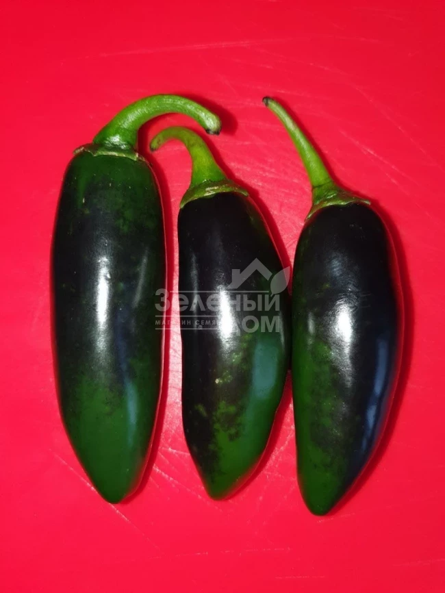 Моджаве F1 / Modzhave F1 фото 6