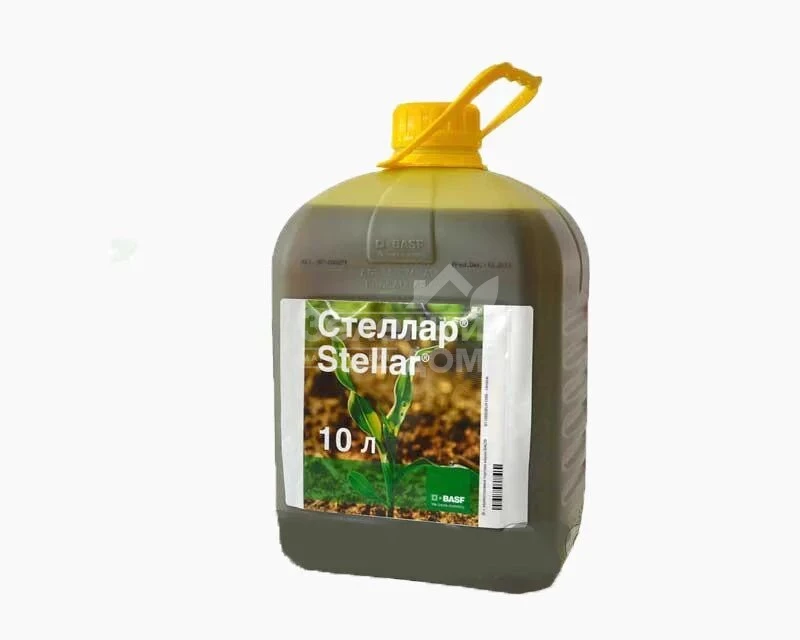 Стеллар / Stellar, ВР фото 1