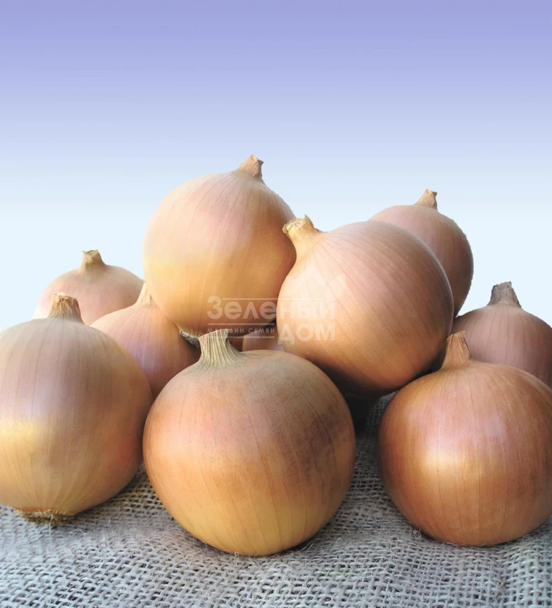 Сибирь / Sibir,250-260 дней фото 1