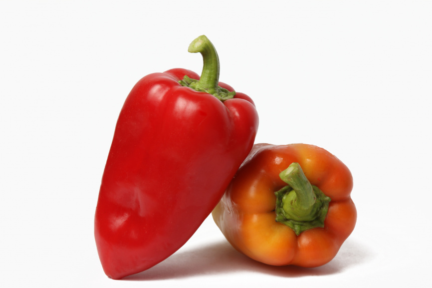 Арбалет F1 / Arbalet F1, 70-75 днів фото 1