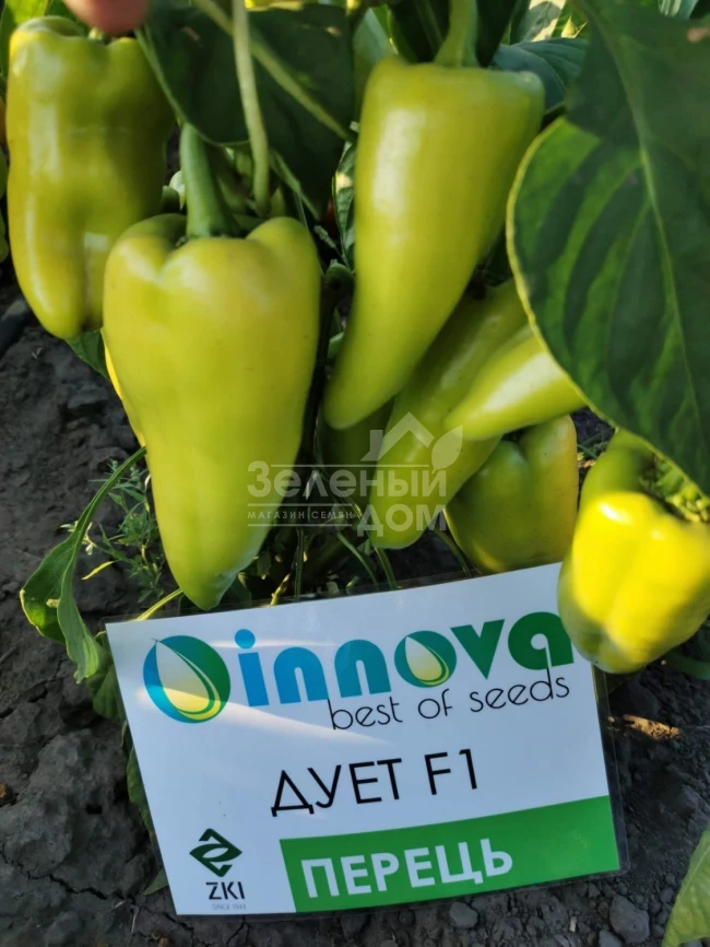 Дуэт F1 / Duet F1,62-67 дней фото 6