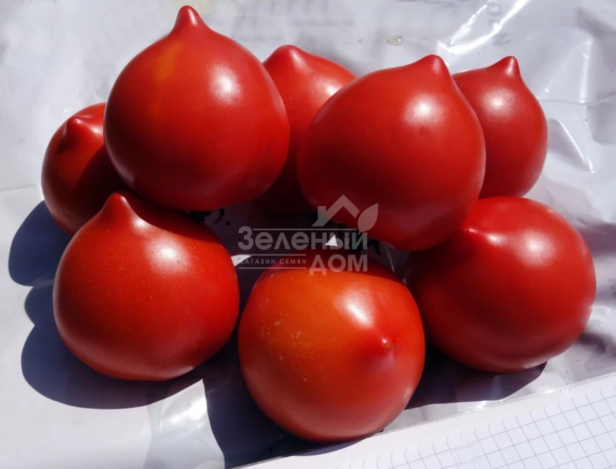 Тапер F1 / Taper F1 фото 1