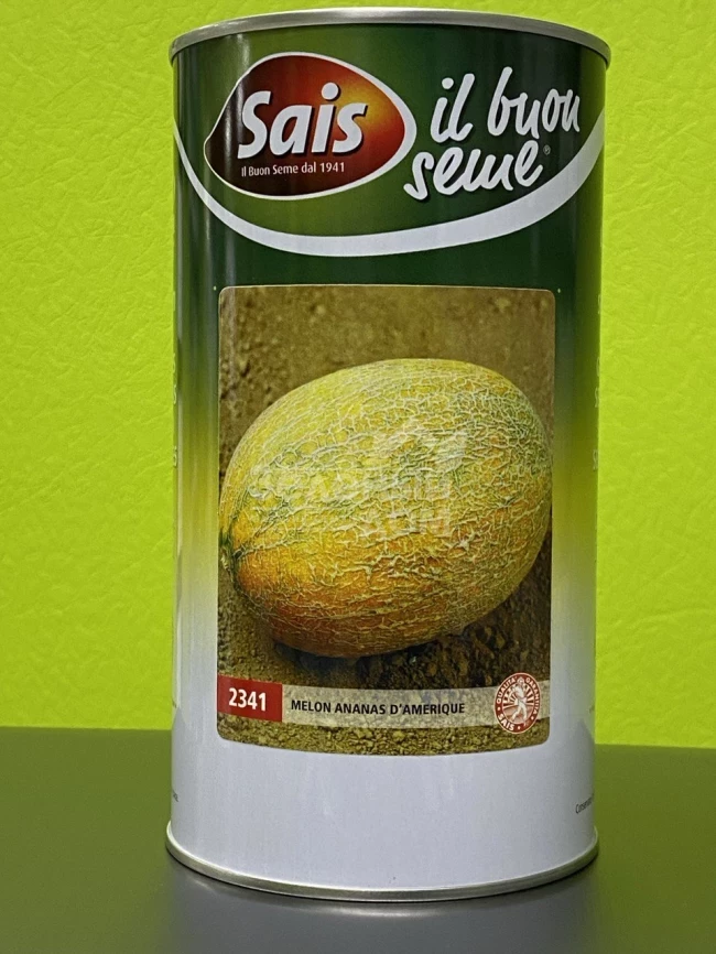 Ананас / Ananas, 80 дней фото 1