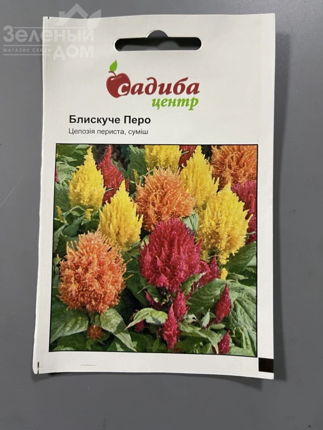 Целозия перистая Блестящее Перо (смесь) фото 1