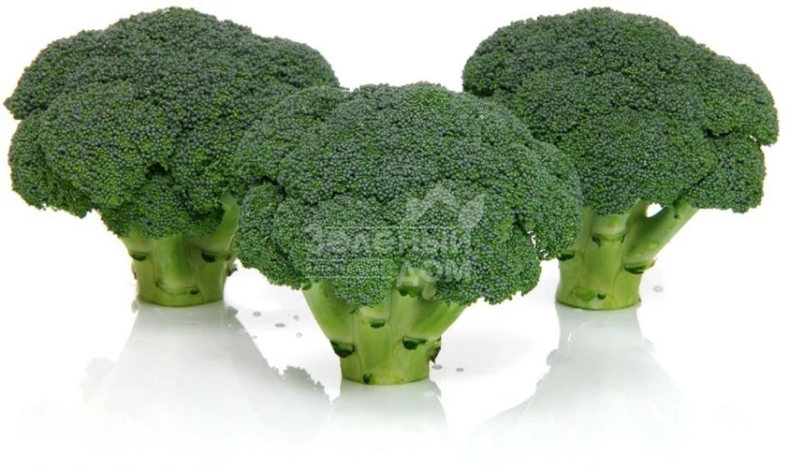 Арес F1 / Ares F1, 60-70 дней фото 3