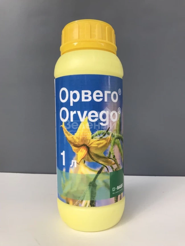 Орвего / Orvego, КС фото 2