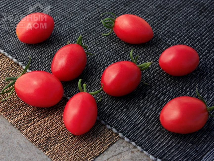 Розестар F1 / Rozestar F1  фото 1