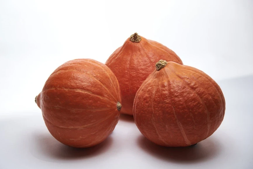 Колинки F1 / Kolinki F1  фото 1