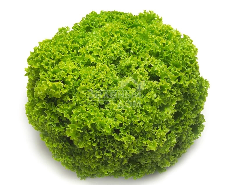 Локарно / Locarno фото 1