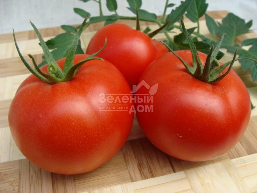 Атерон F1 / Ateron F1 фото 3