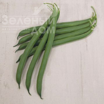 Оутлав / Outlav, 57 днів фото 1