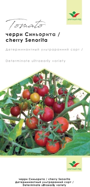 Сеньорита / Senorita, 80 дней фото 1