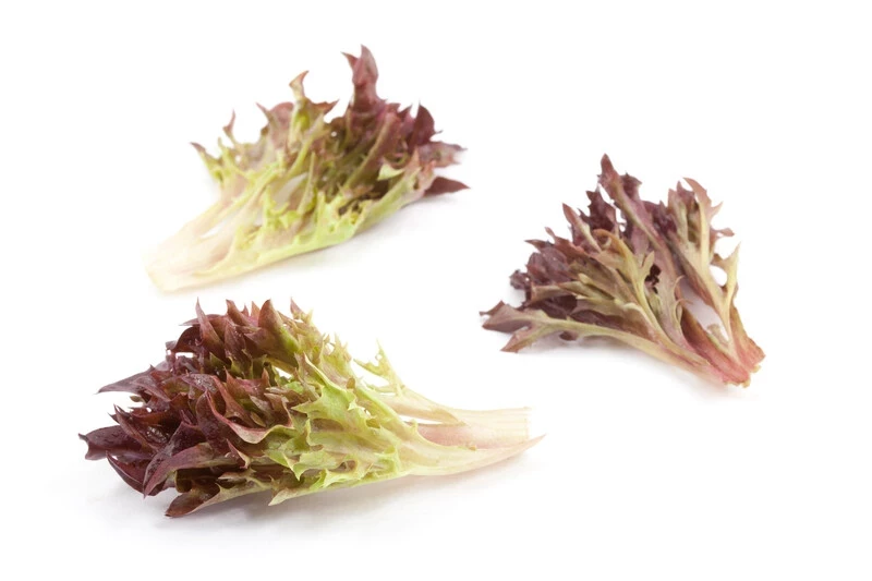 Триплекс / Triplex фото 2