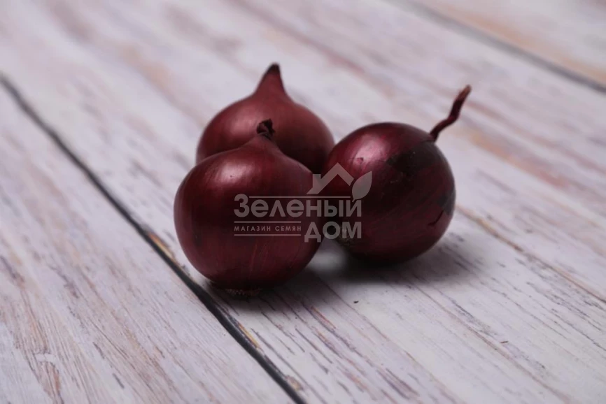 Тимур F1 (LS 5612) / Timur F1 (LS 5612) фото 1