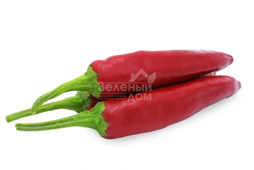 Фоно F1 / Fono F1, 95-110 дней фото 2