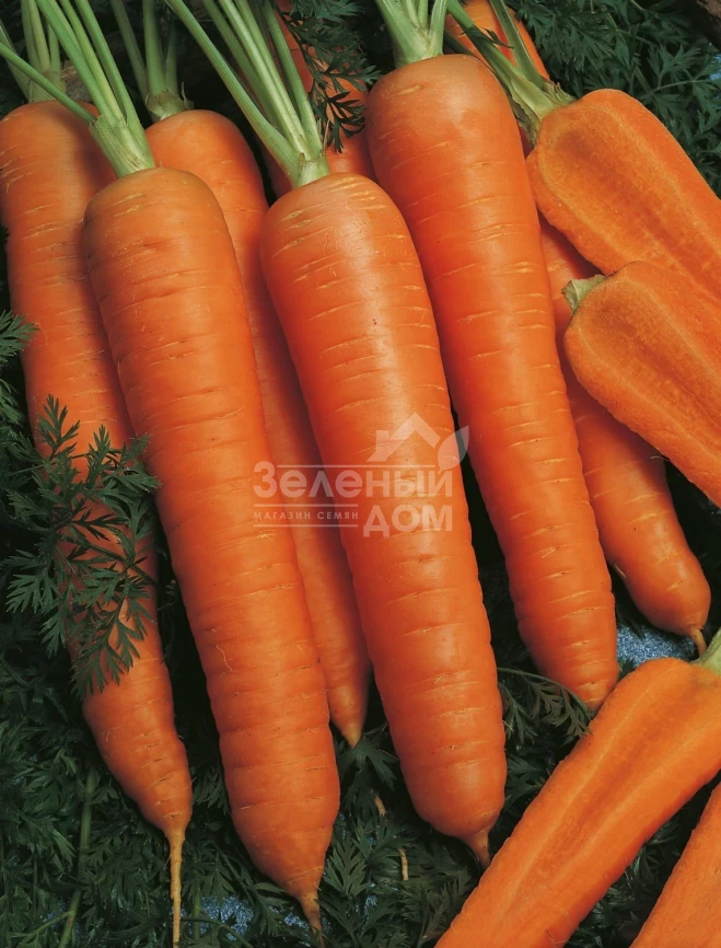 Наполи F1 / Napoli F1,90 дней фото 3