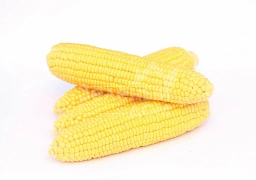 Хан F1 / Han F1,70-75 дней фото 1