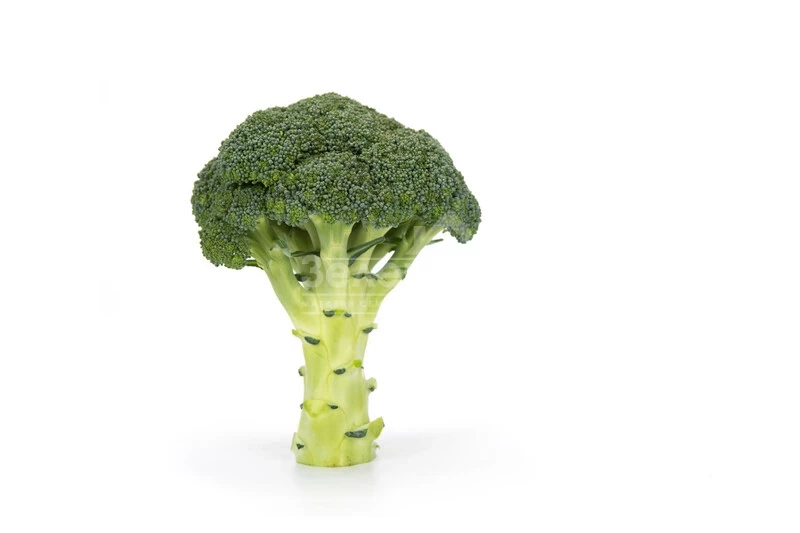 Викарио F1 / Vicario F1, 65-70 дней фото 4