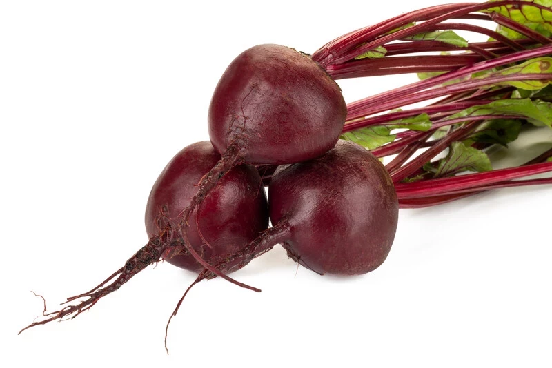 Родити F1 / Roditi F1, 105-110 дней фото 2