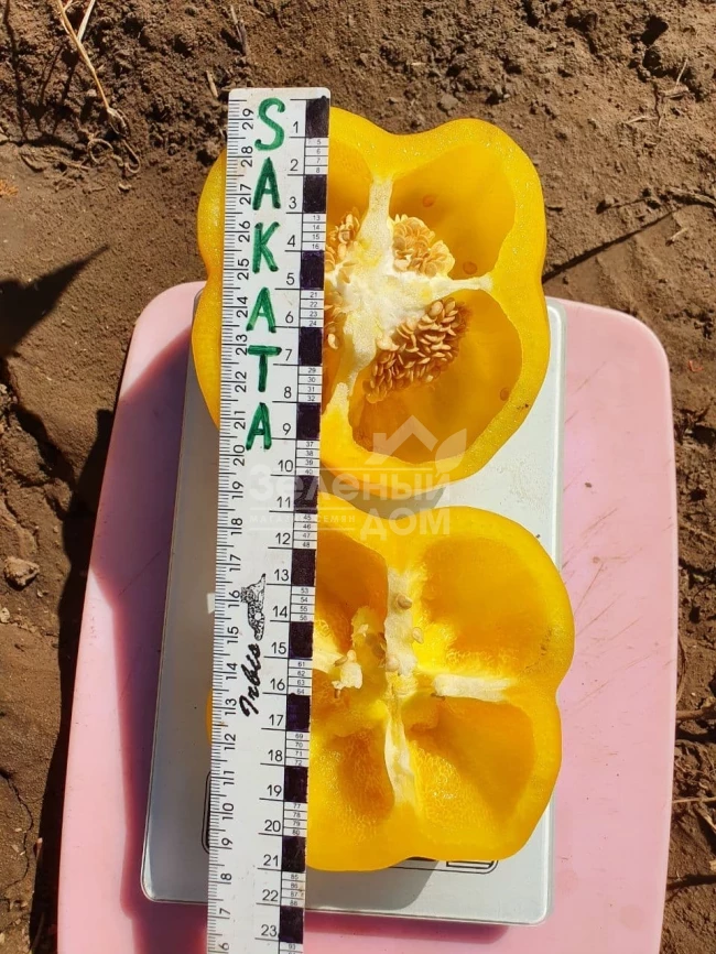 Эспартано F1 / Espartano F1 фото 3