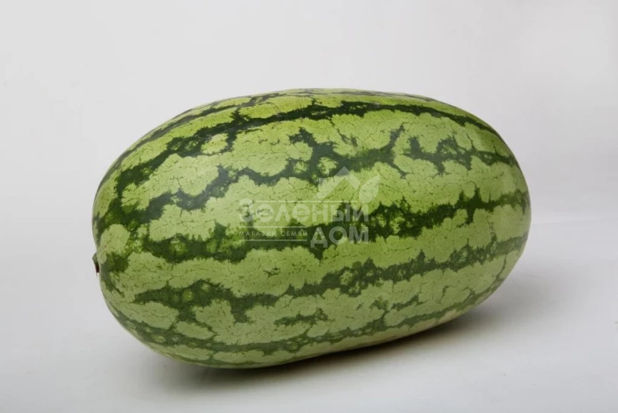 Астерикс (LS 1805) F1 / Asterix  (LS 1805) F1 фото 1