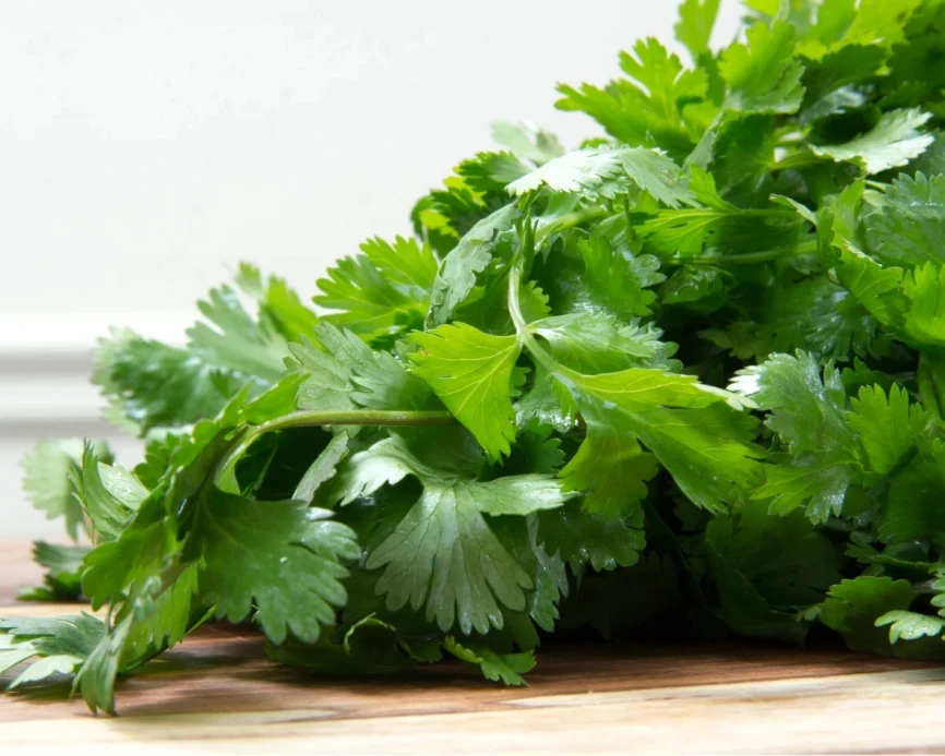 Артика F1 / Artika F1 фото 1