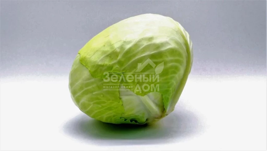 Тайсон F1 / Tayson F1, 105-110 дней фото 2