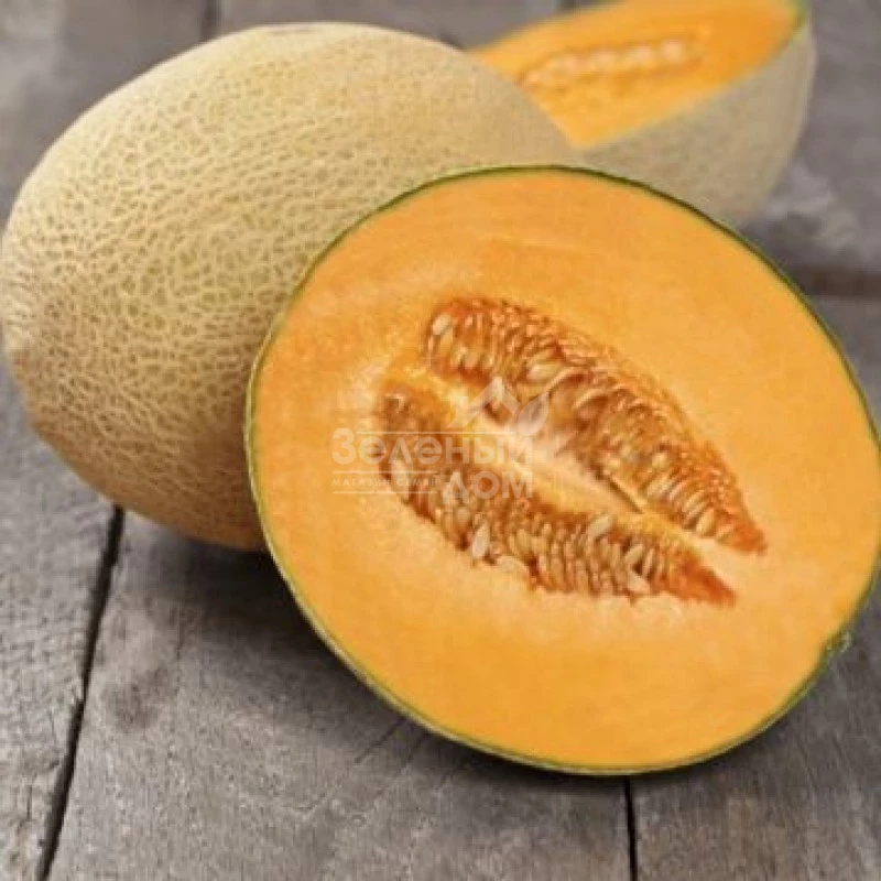 ЮГ 161 (Флоренция) F1 / UG 161 (Florencia) F1 фото 1