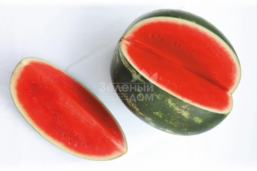 Фасинейшн F1 / Fasineyshn F1,62-64 дня фото 1