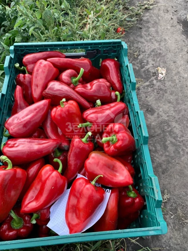 Ред Феррари F1 / Red Ferrari F1 фото 4